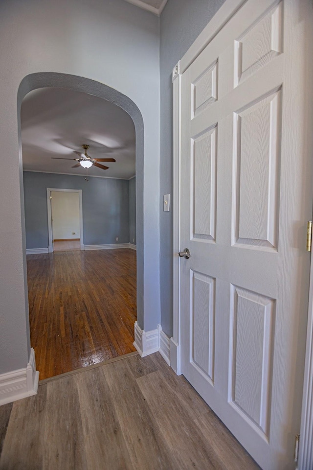546 2nd St SE, Perham, MN 56573 - hallway with arched walkways, wood finished floors, and baseboards