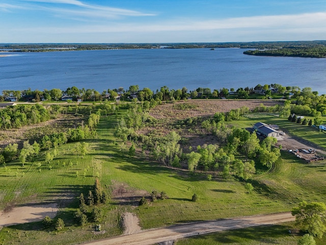 327XX Rosewood Trl, Dent, MN 56528