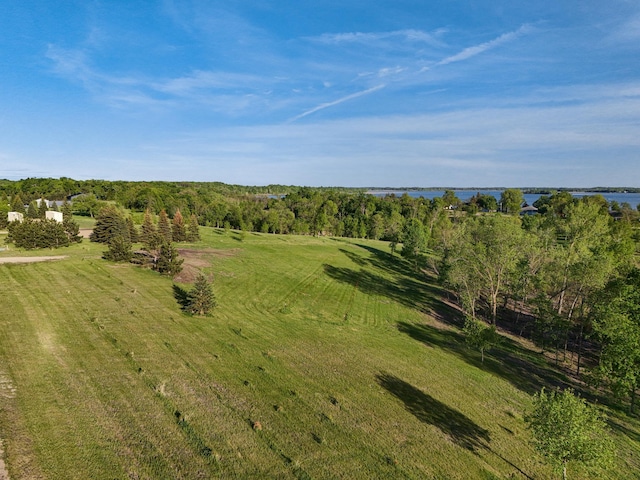 327XX Rosewood Trl, Dent, MN 56528
