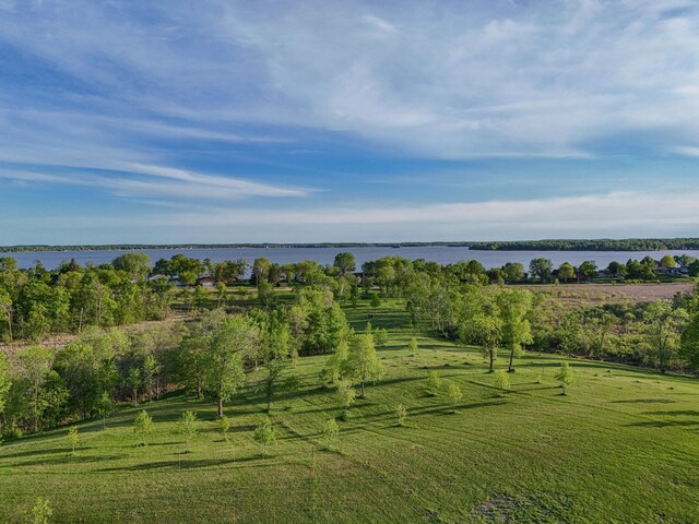 328XX Rosewood Trl, Dent, MN 56528