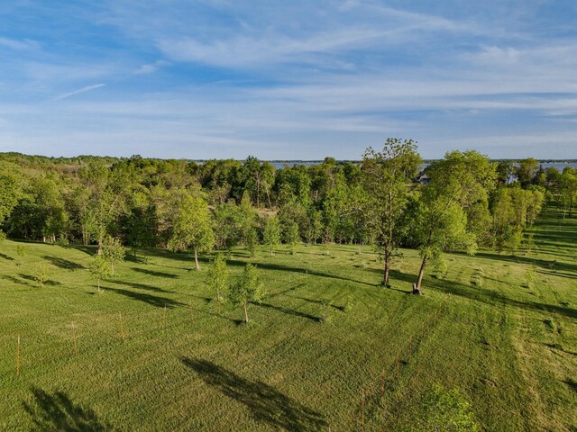 328XX Rosewood Trl, Dent, MN 56528