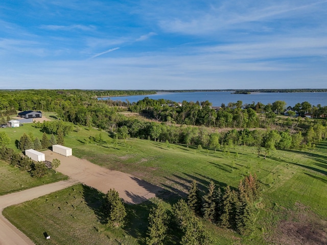 328XX Rosewood Trl, Dent, MN 56528