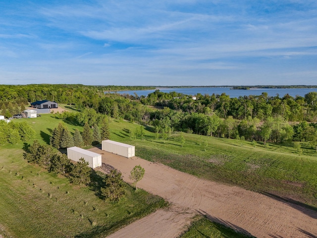 329XX Rosewood Trl, Dent, MN 56528