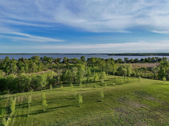 329XX Rosewood Trl, Dent, MN 56528