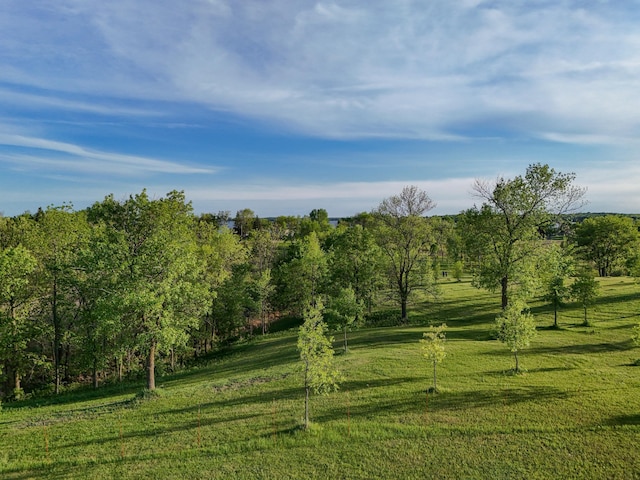 329XX Rosewood Trl, Dent, MN 56528