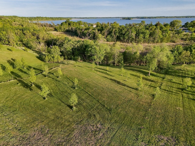 329XX Rosewood Trl, Dent, MN 56528