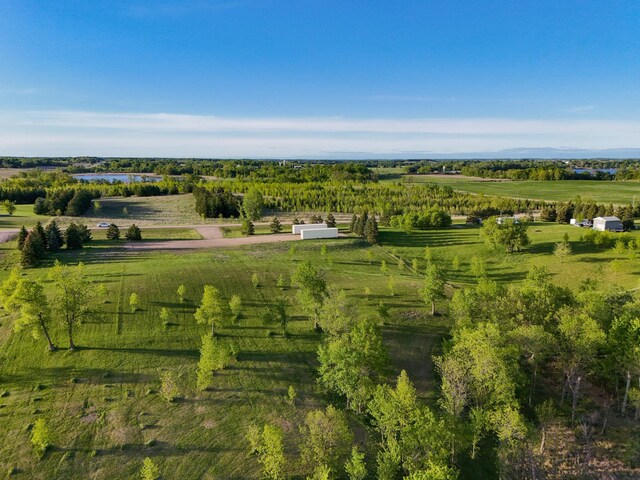 329XX Rosewood Trl, Dent, MN 56528