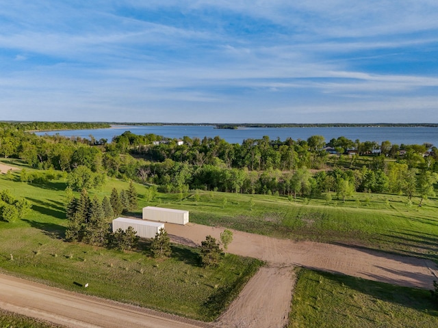 329XX Rosewood Trl, Dent, MN 56528