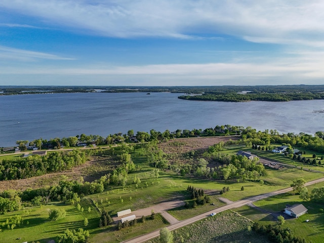 329XX Rosewood Trl, Dent, MN 56528
