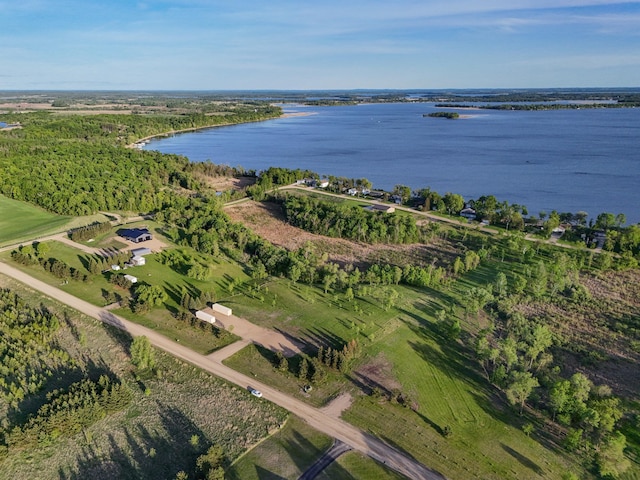 329XX Rosewood Trl, Dent, MN 56528