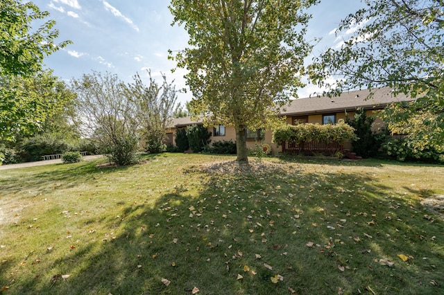 42340 County 50th Blvd, Minneola Twp, MN 55983 - view of green lawn