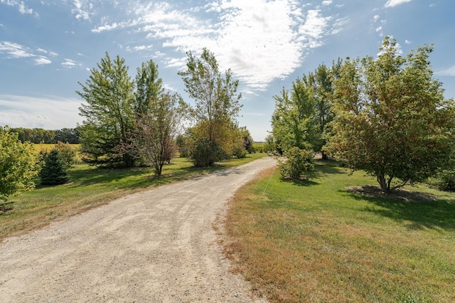 42340 County 50th Blvd, Minneola Twp, MN 55983 - view of dirt / gravel road