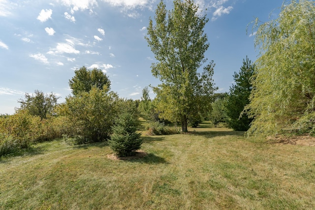 42340 County 50th Blvd, Minneola Twp, MN 55983 - view of undeveloped land