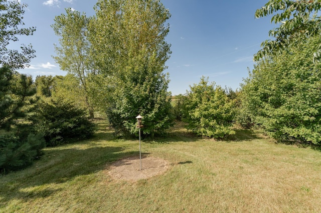 42340 County 50th Blvd, Minneola Twp, MN 55983 - view of grassy yard