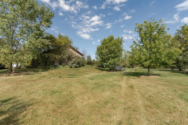 42340 County 50th Blvd, Minneola Twp, MN 55983 - view of green lawn