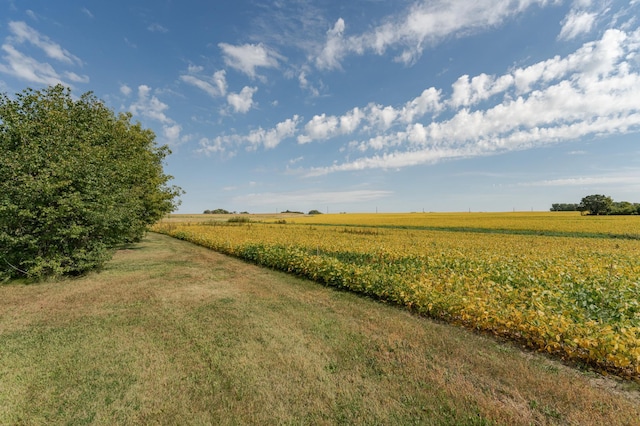 42340 County 50th Blvd, Minneola Twp, MN 55983 - view of grassy yard with a view of countryside and agricultural area