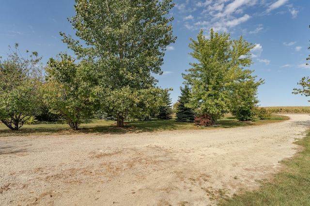 42340 County 50th Blvd, Minneola Twp, MN 55983 - view of nature featuring rural landscape