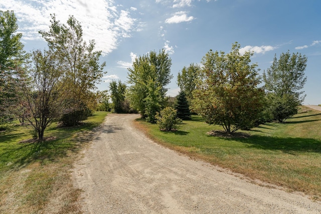 42340 County 50th Blvd, Minneola Twp, MN 55983 - view of dirt / gravel road