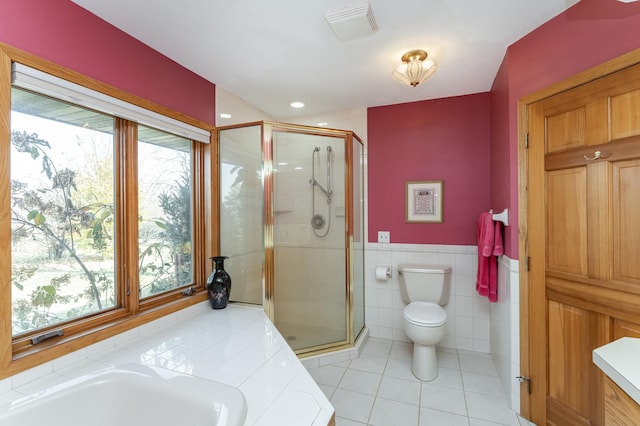 42340 County 50th Blvd, Minneola Twp, MN 55983 - full bathroom featuring toilet, a shower stall, tile patterned flooring, a tub, and tile walls