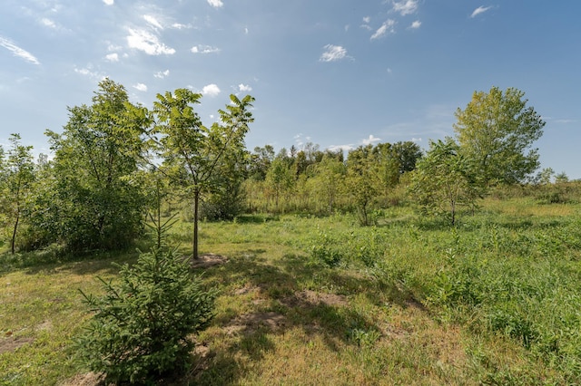 42340 County 50th Blvd, Minneola Twp, MN 55983 - view of undeveloped land