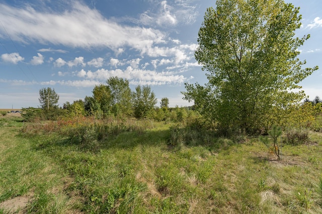 42340 County 50th Blvd, Minneola Twp, MN 55983 - view of nature