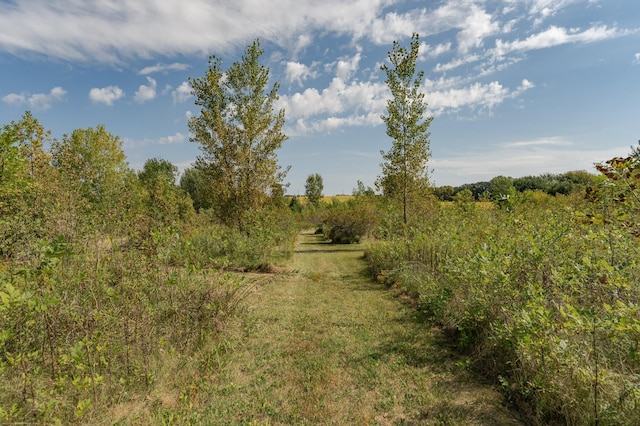 42340 County 50th Blvd, Minneola Twp, MN 55983 - view of undeveloped land