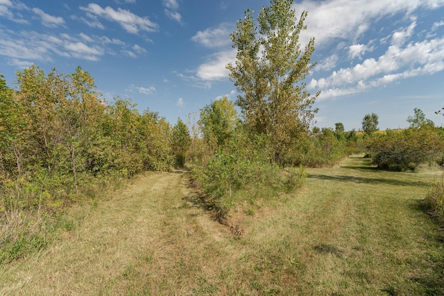42340 County 50th Blvd, Minneola Twp, MN 55983 - view of local wilderness