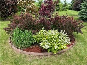 42340 County 50th Blvd, Minneola Twp, MN 55983 - view of grassy yard featuring a vegetable garden