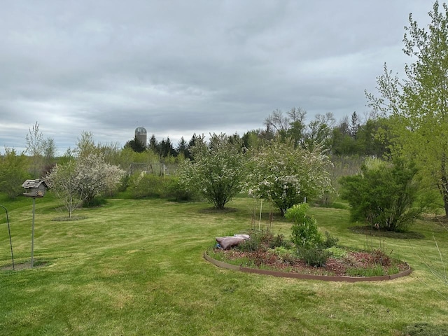 42340 County 50th Blvd, Minneola Twp, MN 55983 - view of grassy yard