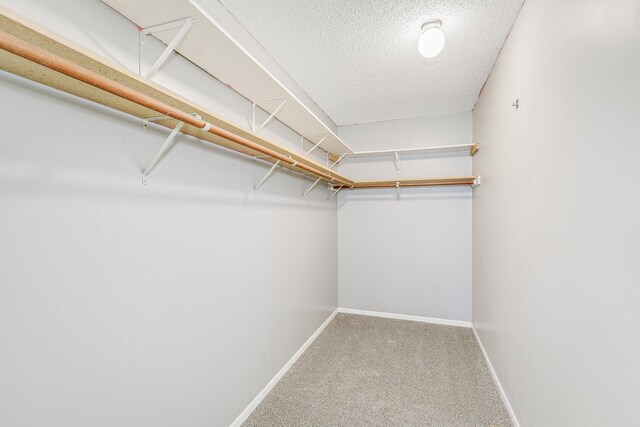 2245 Pinehurst St, Stillwater, MN 55082 - walk in closet with carpet flooring