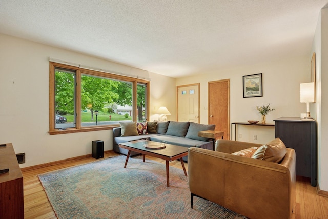 5 Hillside Ct, Northfield, MN 55057 - living room with wood finished floors and baseboards