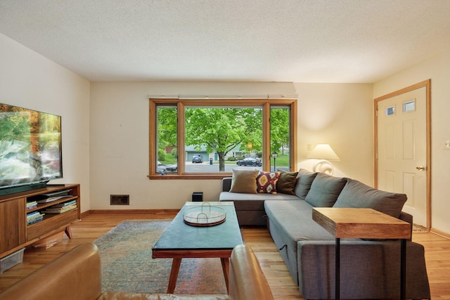 5 Hillside Ct, Northfield, MN 55057 - living area featuring light wood-style flooring, a textured ceiling, and baseboards