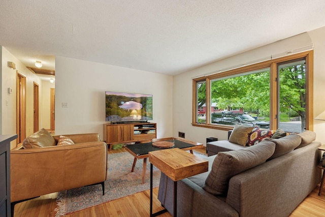 5 Hillside Ct, Northfield, MN 55057 - living room with light wood finished floors