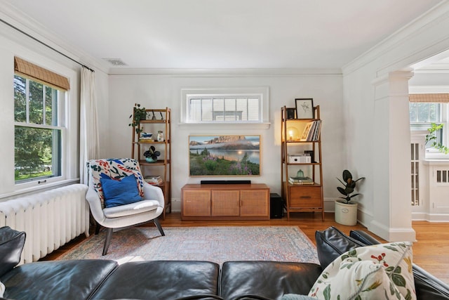 1310 Fairmount Ave, Saint Paul, MN 55105 - living area with radiator, wood finished floors, ornamental molding, and ornate columns