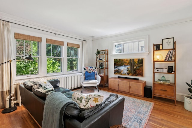1310 Fairmount Ave, Saint Paul, MN 55105 - living area featuring radiator, wood finished floors, and crown molding