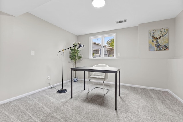 228 16th Ave SW, New Brighton, MN 55112 - office featuring carpet and baseboards