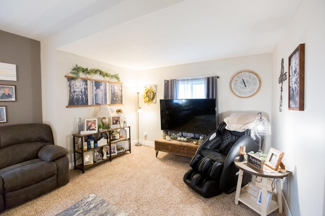 2758 220th St, Madison, MN 56256 - living area with carpet flooring