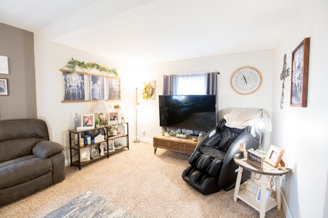 2758 220th St, Madison, MN 56256 - living room featuring carpet flooring