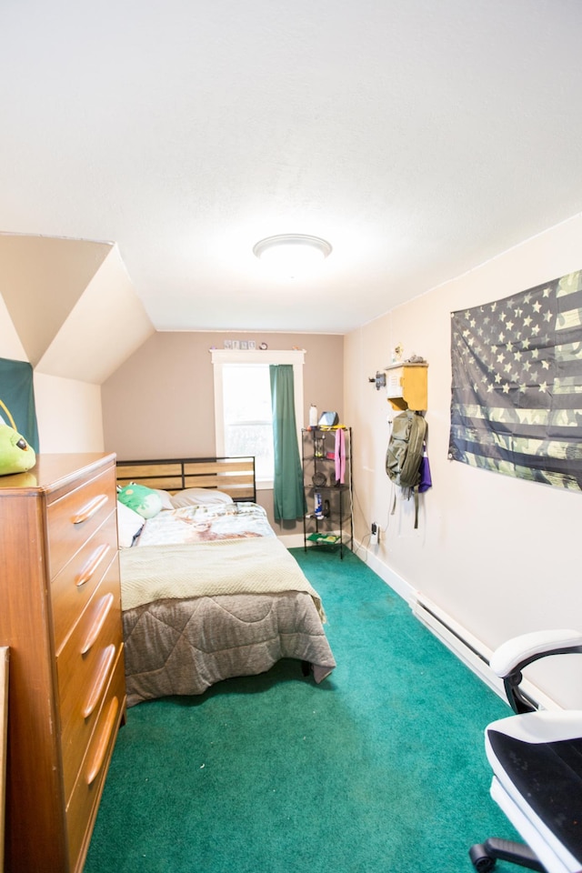 2758 220th St, Madison, MN 56256 - bedroom with carpet and lofted ceiling