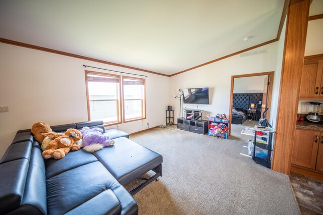 2009 Osprey Pl NW, Stewartville, MN 55976 - photo 12