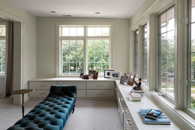 1824 Oliver Ave S, Minneapolis, MN 55405 - office with healthy amount of natural light