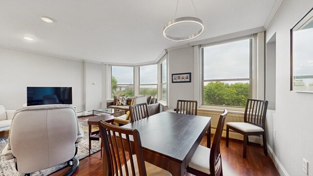 1425 28th St Unit 519, Minneapolis, MN 55408 - dining area featuring dark wood finished floors, crown molding, baseboards, and a baseboard radiator