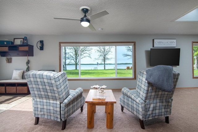 692 Round Lake Ln, Georgetown Twp, WI 54853 - carpeted living room featuring plenty of natural light, ceiling fan, and a textured ceiling