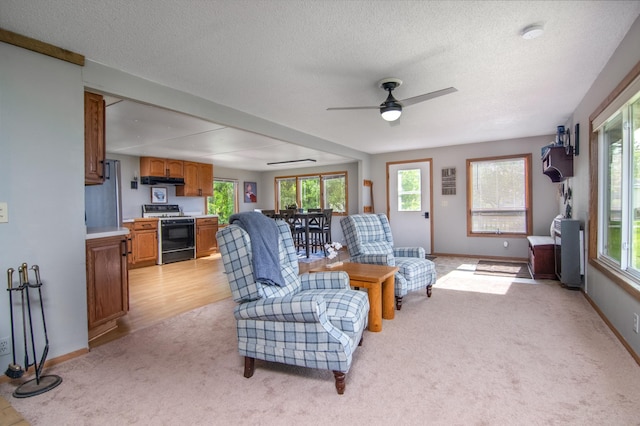 692 Round Lake Ln, Georgetown Twp, WI 54853 - living area featuring light carpet, a ceiling fan, baseboards, and a textured ceiling