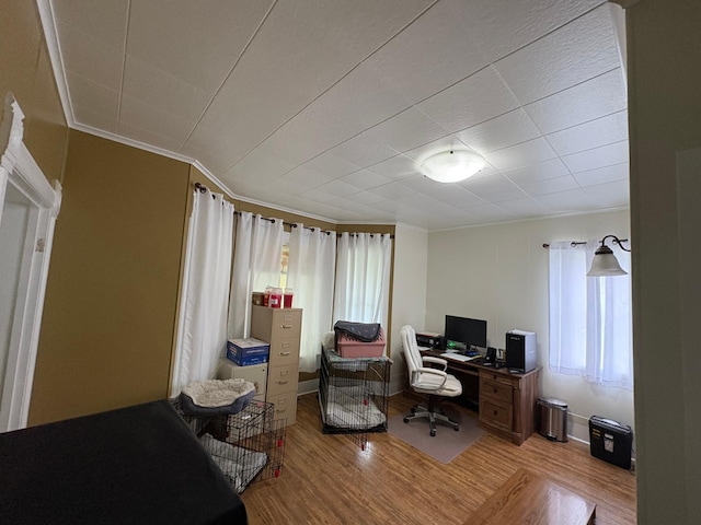 809 14th St S, Benson, MN 56215 - office space featuring light wood-style floors and crown molding
