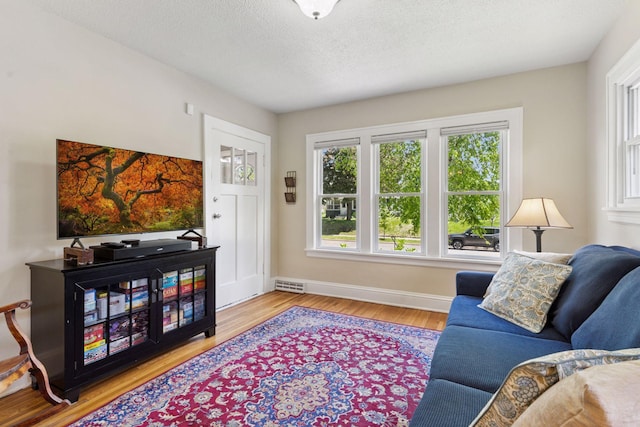 4034 Nokomis Ave, Minneapolis, MN 55406 - living room featuring plenty of natural light, wood finished floors, and baseboards