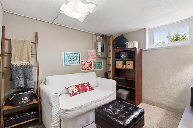 4034 Nokomis Ave, Minneapolis, MN 55406 - sitting room with electric panel and carpet