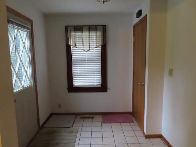 114 2nd St S, Truman, MN 56088 - spare room with plenty of natural light, baseboards, and light tile patterned floors