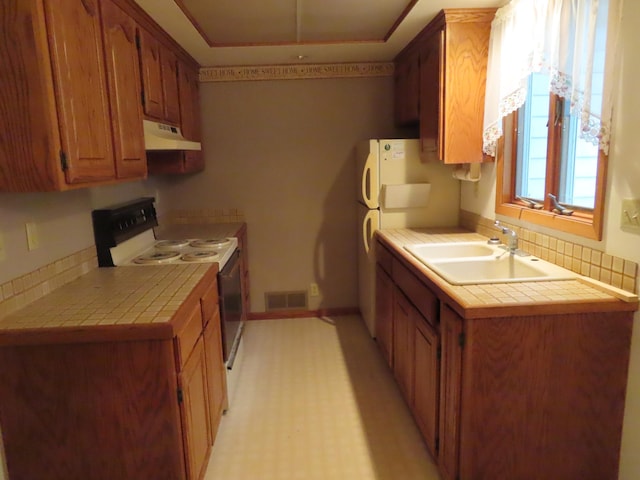 114 2nd St S, Truman, MN 56088 - kitchen featuring electric range, under cabinet range hood, a sink, and tile counters