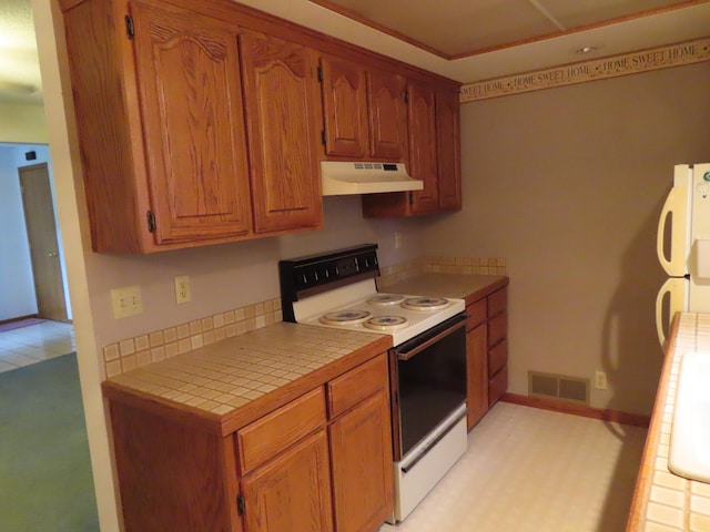 114 2nd St S, Truman, MN 56088 - kitchen with white appliances, under cabinet range hood, tile counters, and brown cabinetry